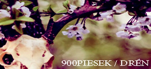 900piesek - Drn / CDr