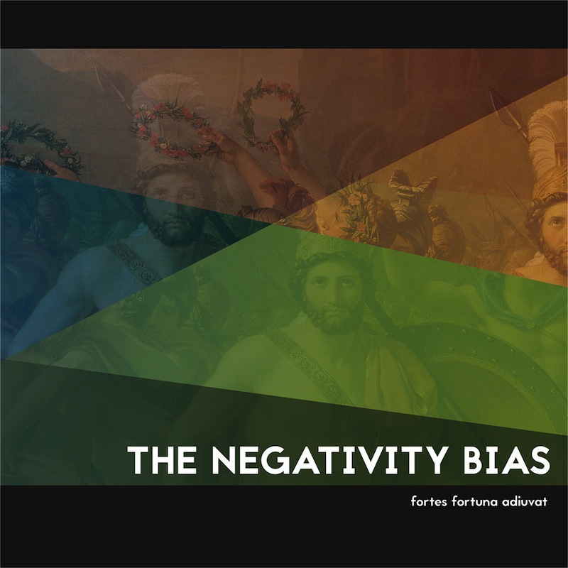 The Negativity Bias - Fortes Fortuna Adiuvat / CD