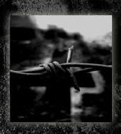 Ambiguous - Stone Cross / CD