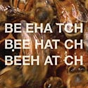 Beehatch - Beehatch / CD
