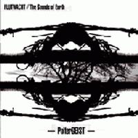 Flutwacht / The sounds of earth - Poltergeist / CD
